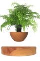 Levitation & Floating Décor
